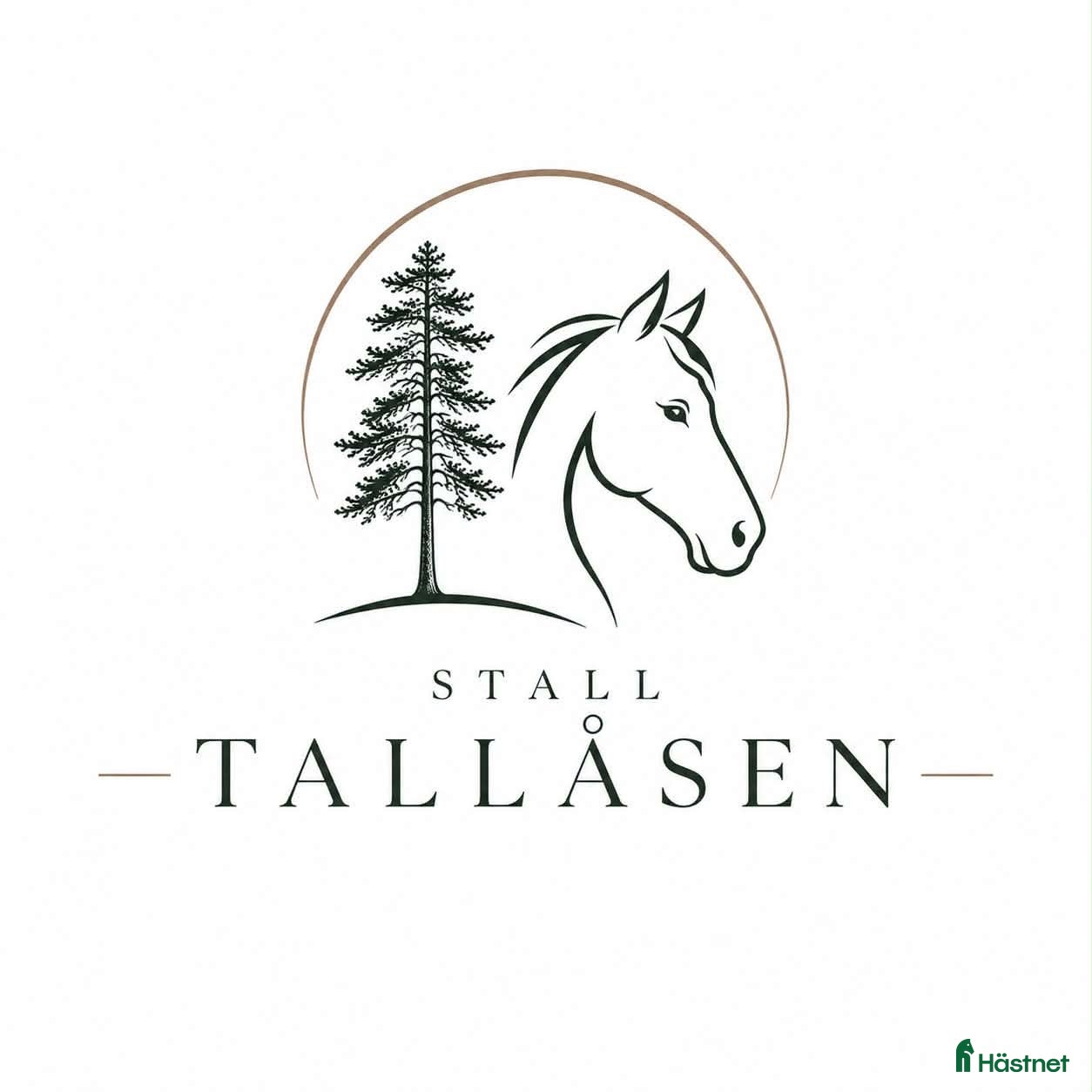  stallplats Hästhotell för ponny/liten häst. - Annons 10