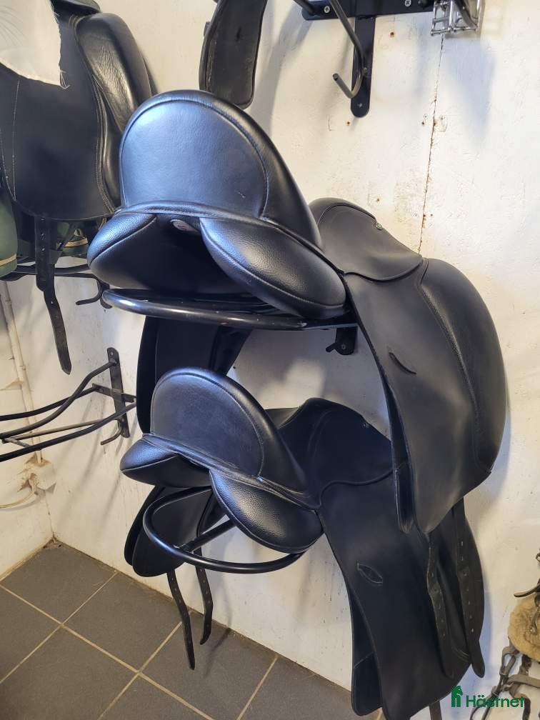 Sadlar hästutrustning Arena dressyrsadlar 17” - Annons 4