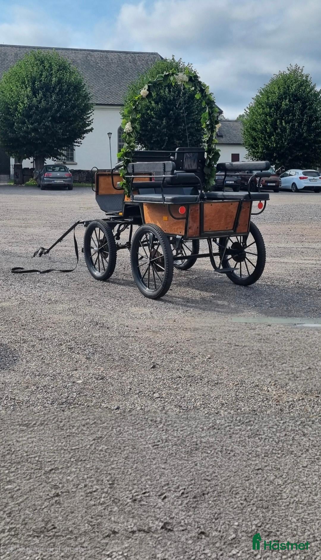 Körvagnar körning till salu: Wagonette - Annons 1