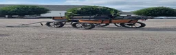 Körvagnar körning till salu: Wagonette - Annons 1