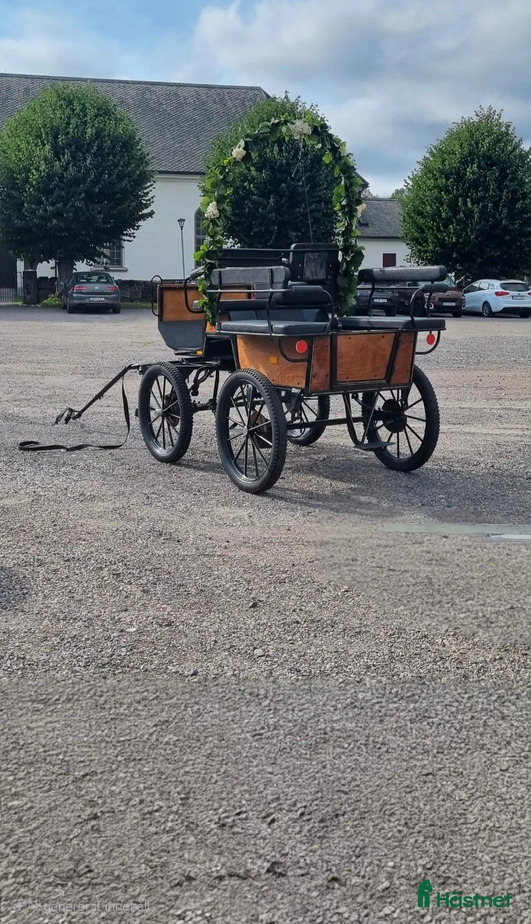 Körvagnar körning till salu: Wagonette - Annons 1