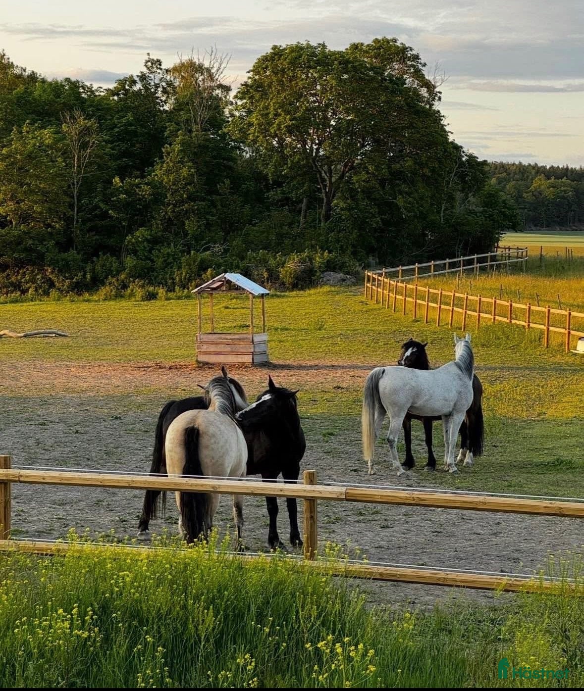  stallplats Stallplatser i Skokloster - Annons 4