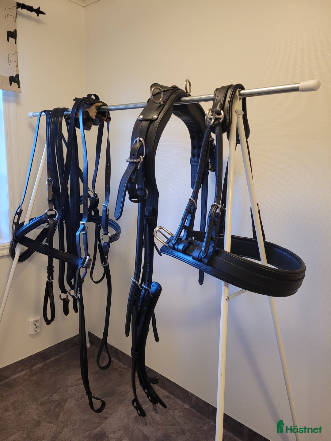 Körvagnar körning till salu: Gig med bröstsele i Tingsryd - Annons 4