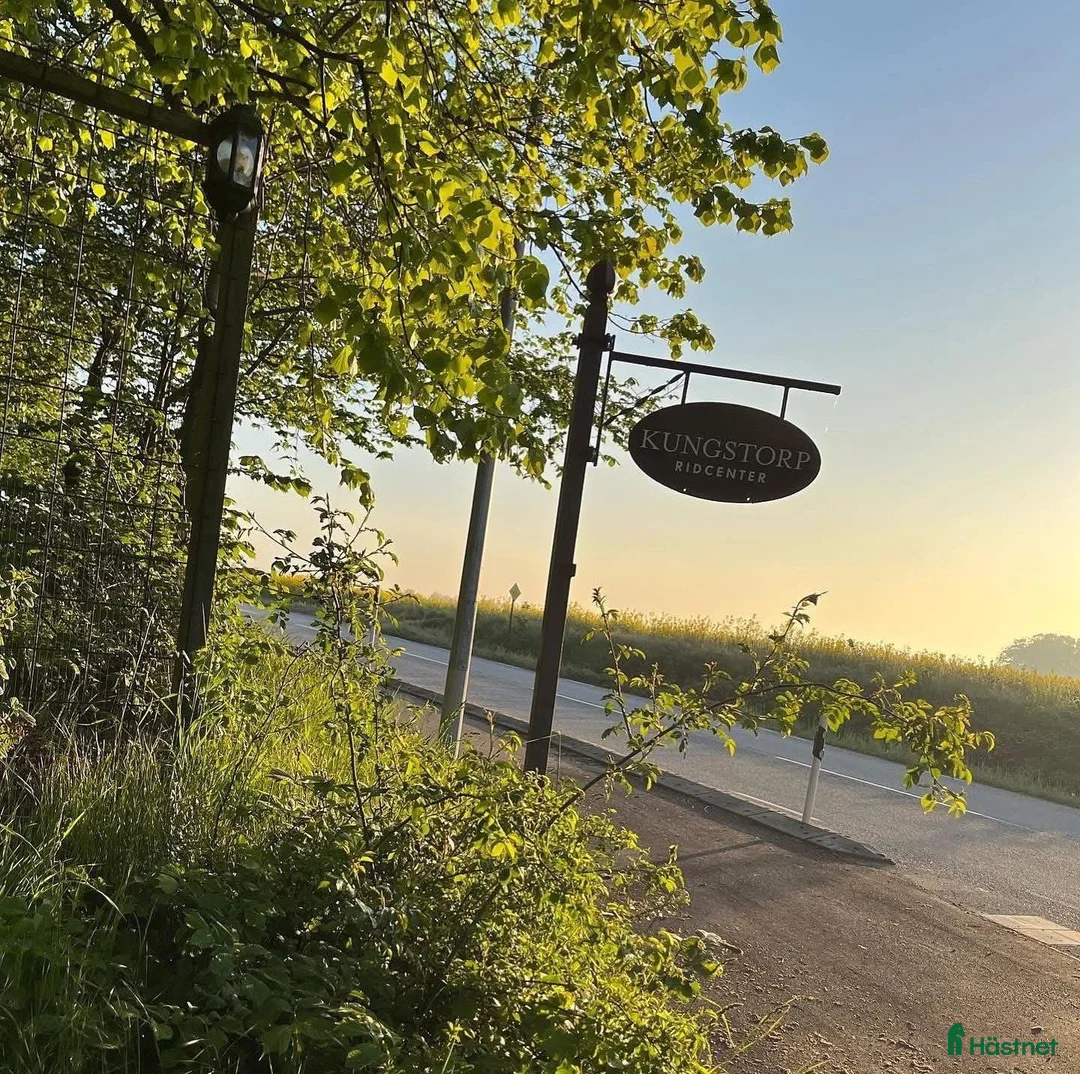  stallplats finnes: Stallplats Kungstorp Ridcenter Höllviken  - Annons 4