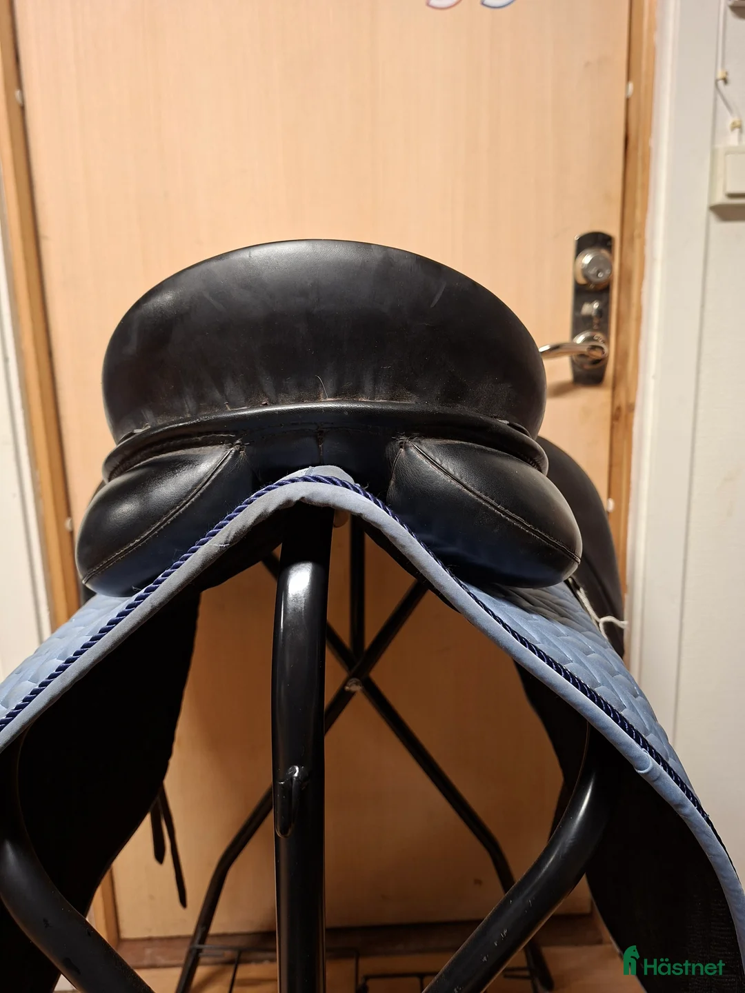 Sadlar hästutrustning till salu: Passier Corona i Hamneda - Annons 4