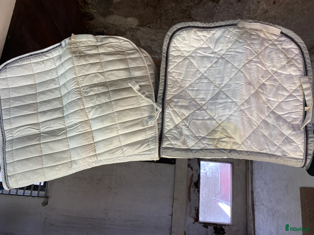 Övrig Hästutrustning hästutrustning till salu: Häst och stall utrustning  - Annons 16