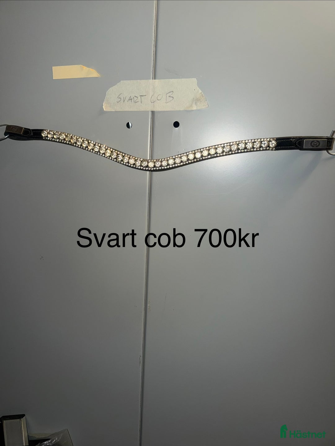 Träns hästutrustning till salu: Ps pannband i Färgelanda - Annons 8