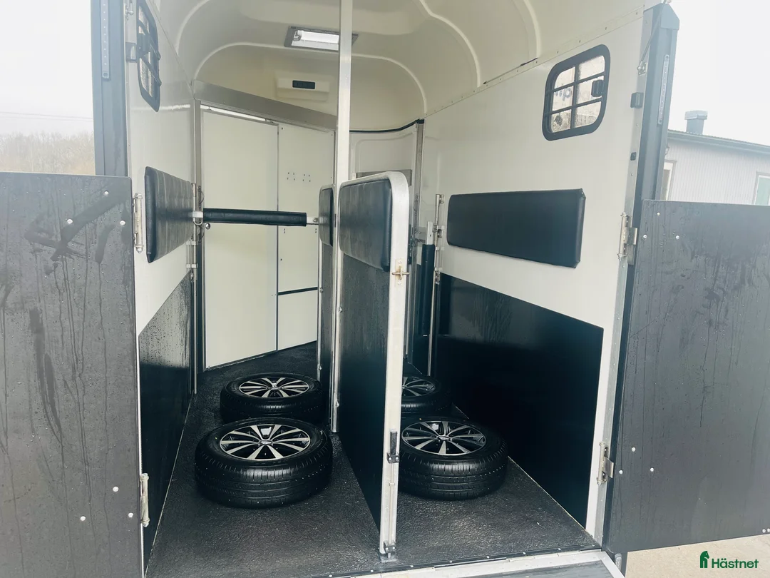 Hästtransporter  fordon & transport till salu: Forzab EQ2 i nyskick - Annons 2