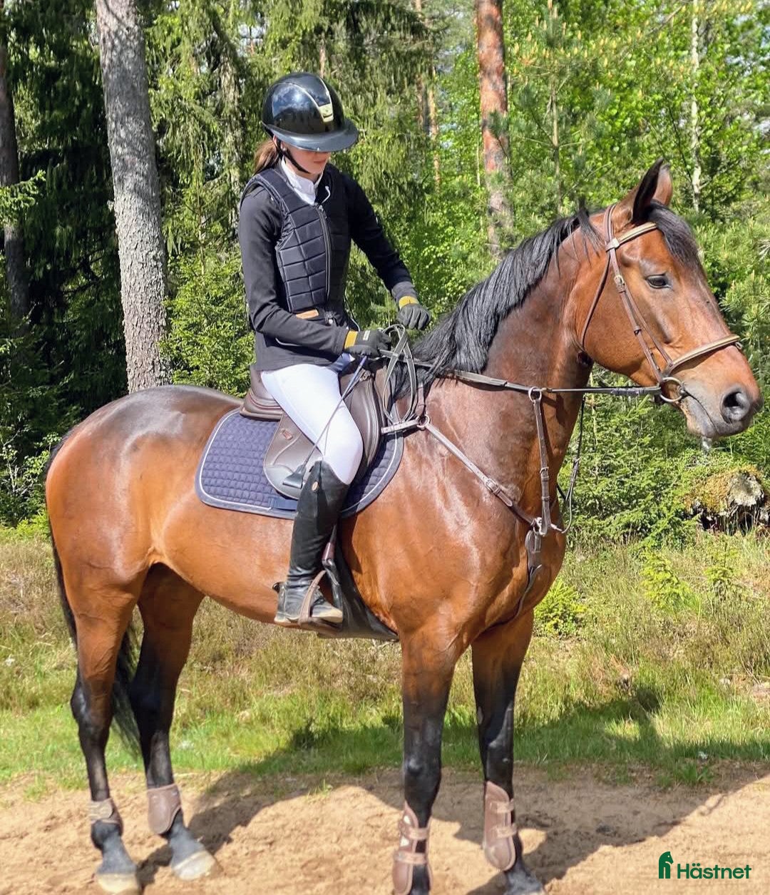  hästar Mycket tillgivet sto! - Annons 7