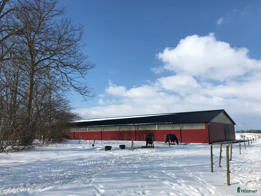  stallplats finnes: Vi har tre boxplatser lediga from 1 mars😊 i Vellinge - Annons 6