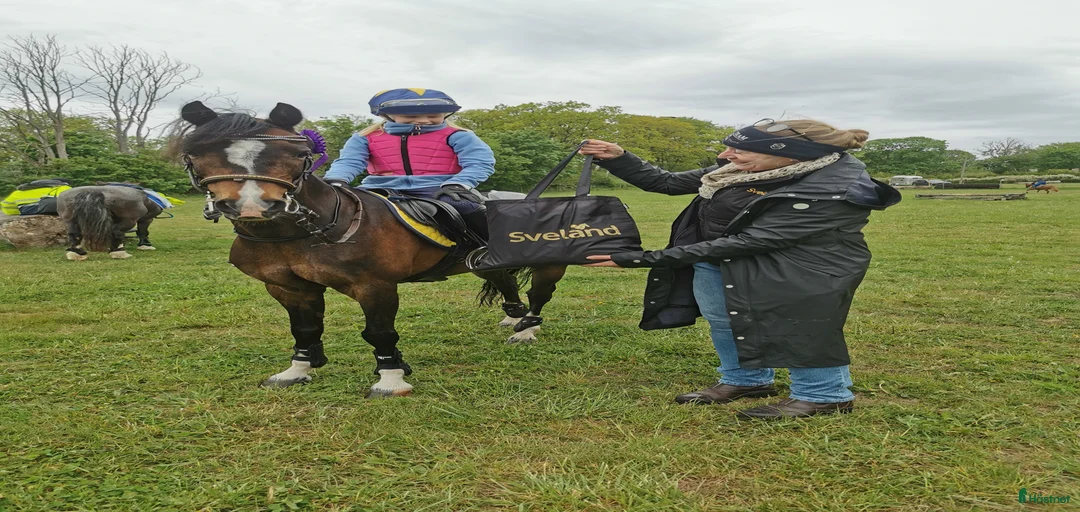 Galleribild {{count}}