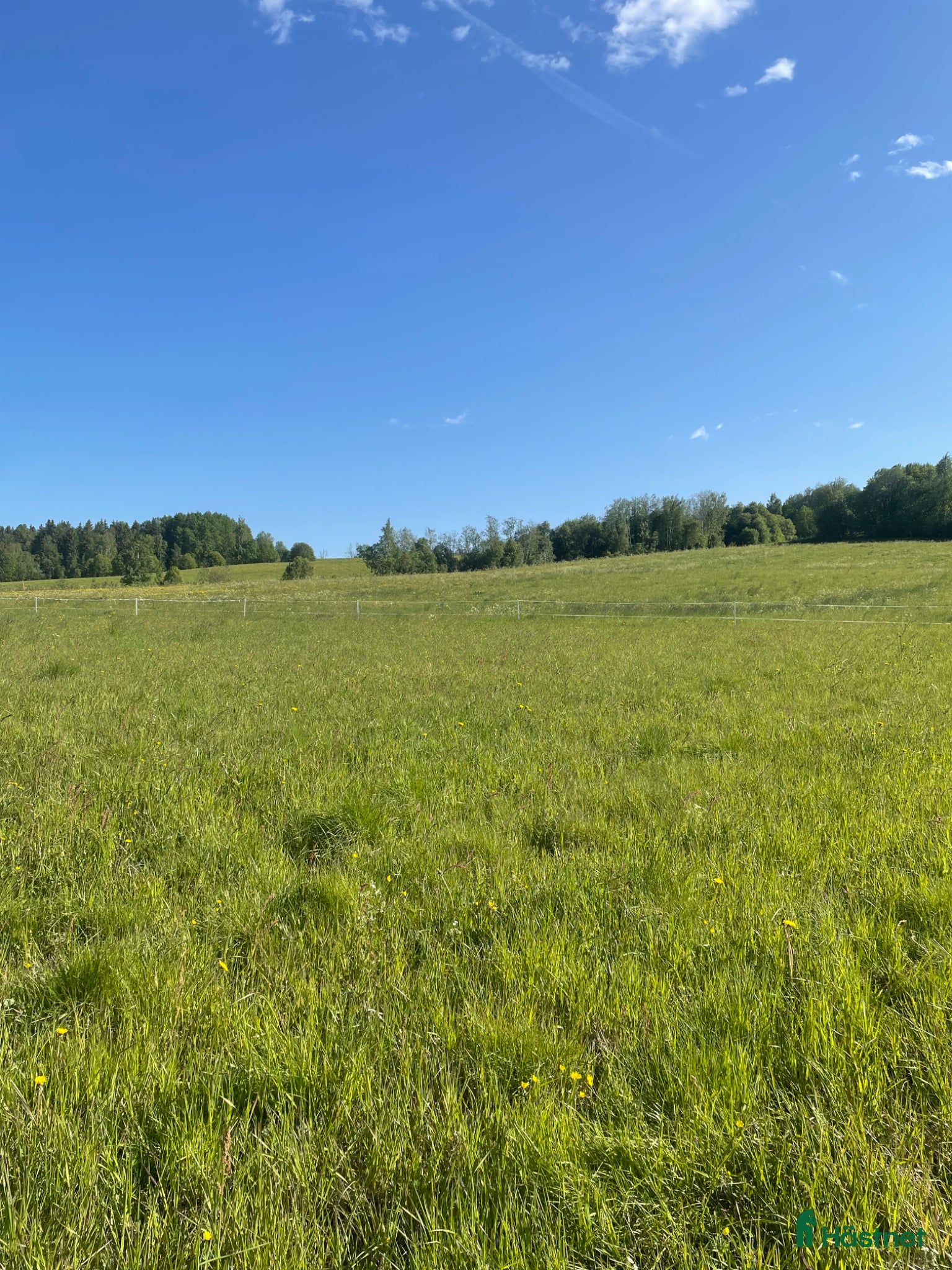  stallplats Sommarbete - Annons 1