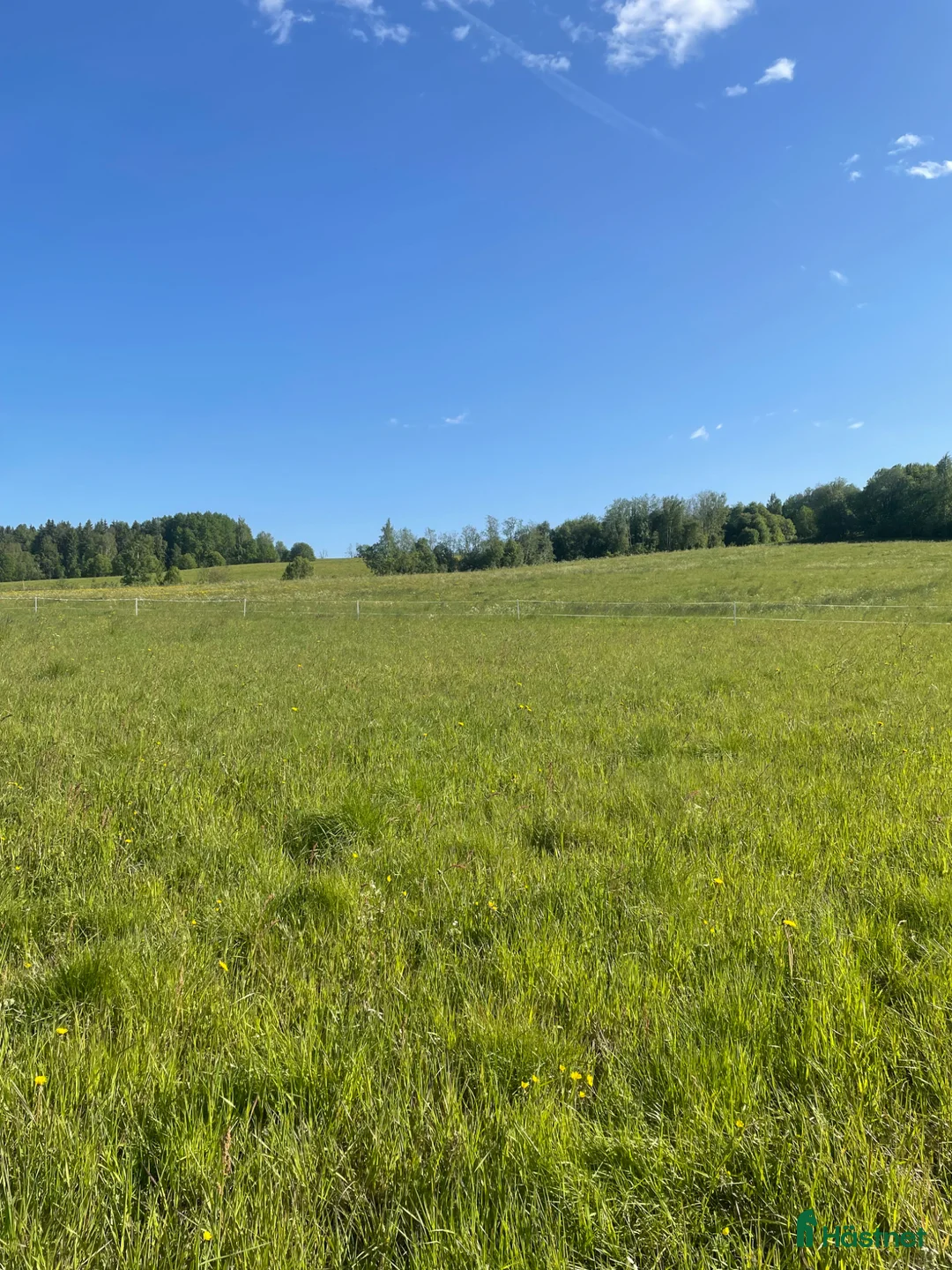  stallplats finnes: Sommarbete - Annons 1