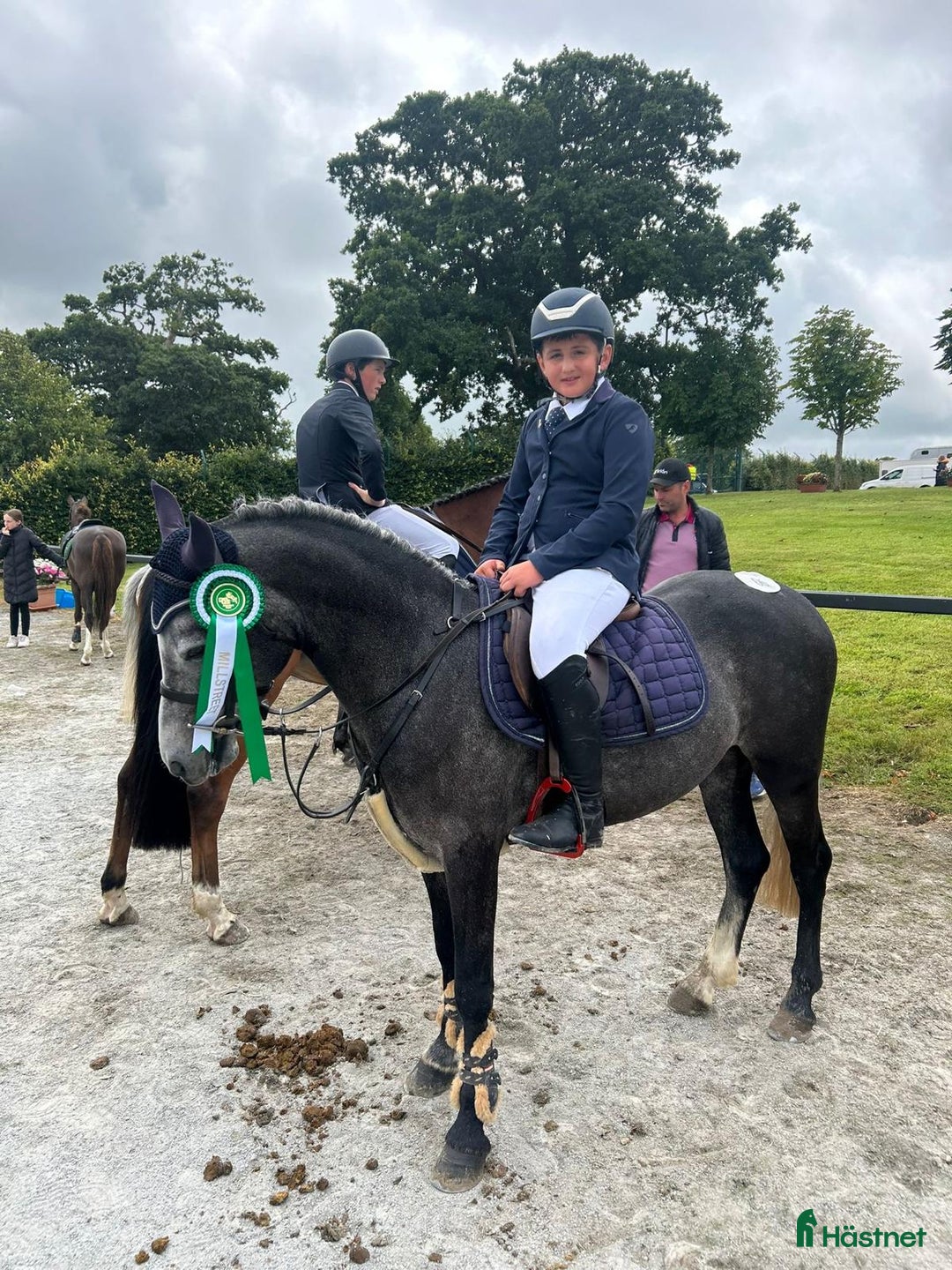Hoppning hästar till salu: Ungponny SM 2026 i Ängelholm - Annons 2