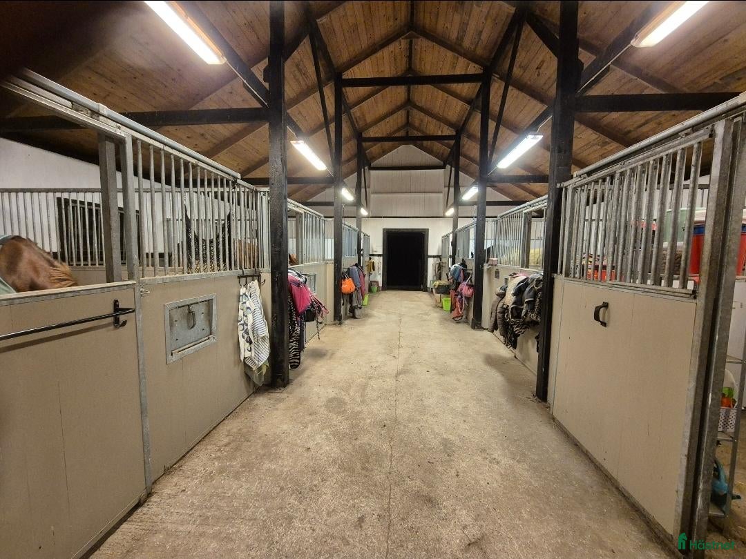  stallplats Stallplatser I Karlshamn/Asarum - Annons 7
