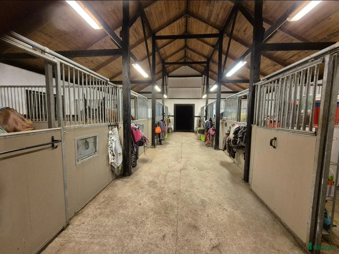  stallplats finnes: Stallplatser I Karlshamn/Asarum - Annons 1