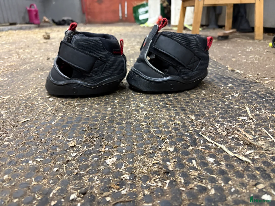 Övrig Hästutrustning hästutrustning till salu: Equine fusion trekking - Annons 6