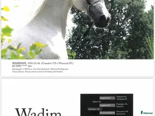 avel Fryst sperma (FAI) - arabhingsten Wadim - Annons 3