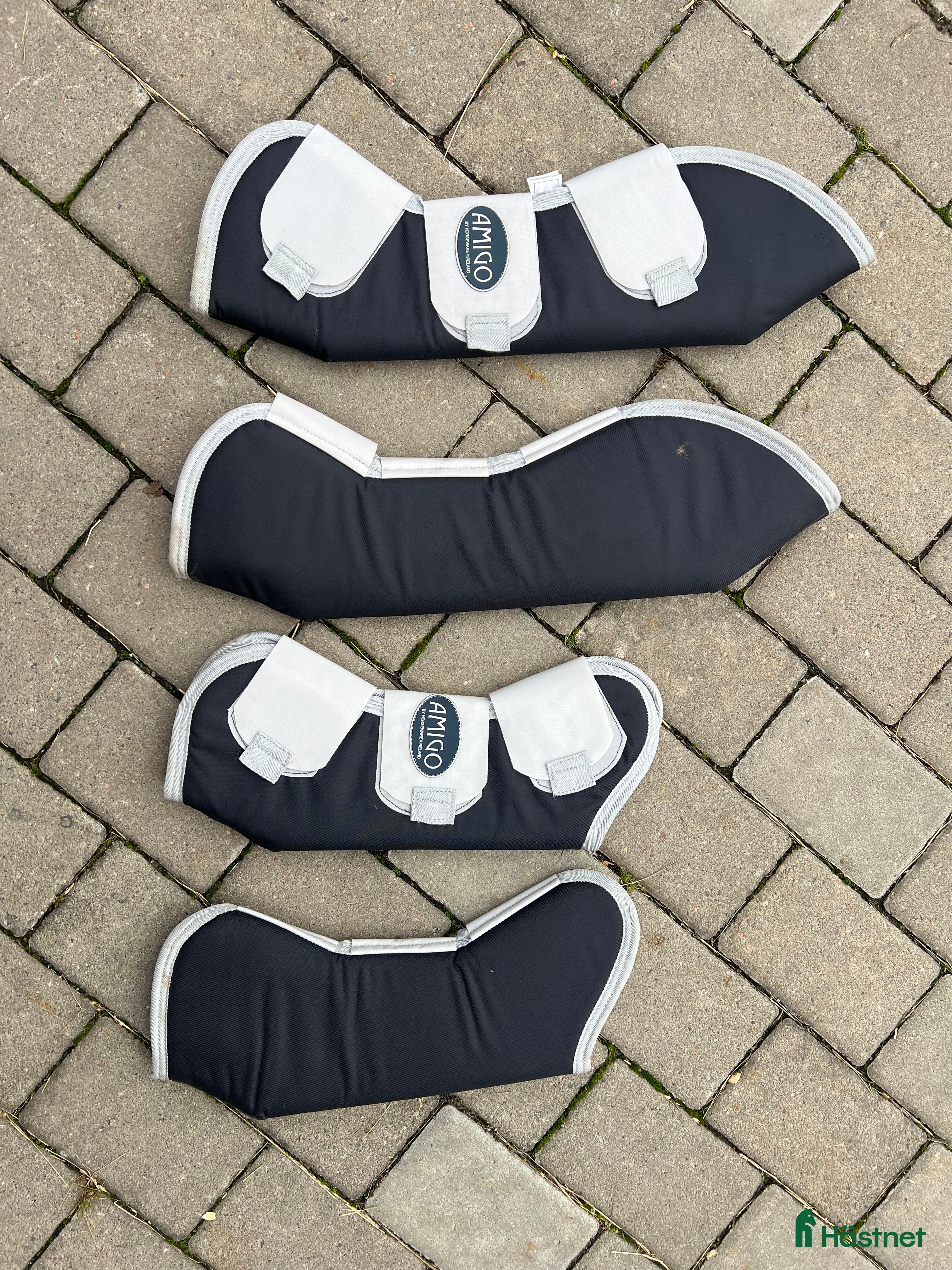 Benskydd hästutrustning till salu: Amigo transportskydd i Tävelsås - Annons 21