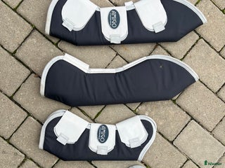 Benskydd hästutrustning till salu: Amigo transportskydd i Tävelsås - Annons 21