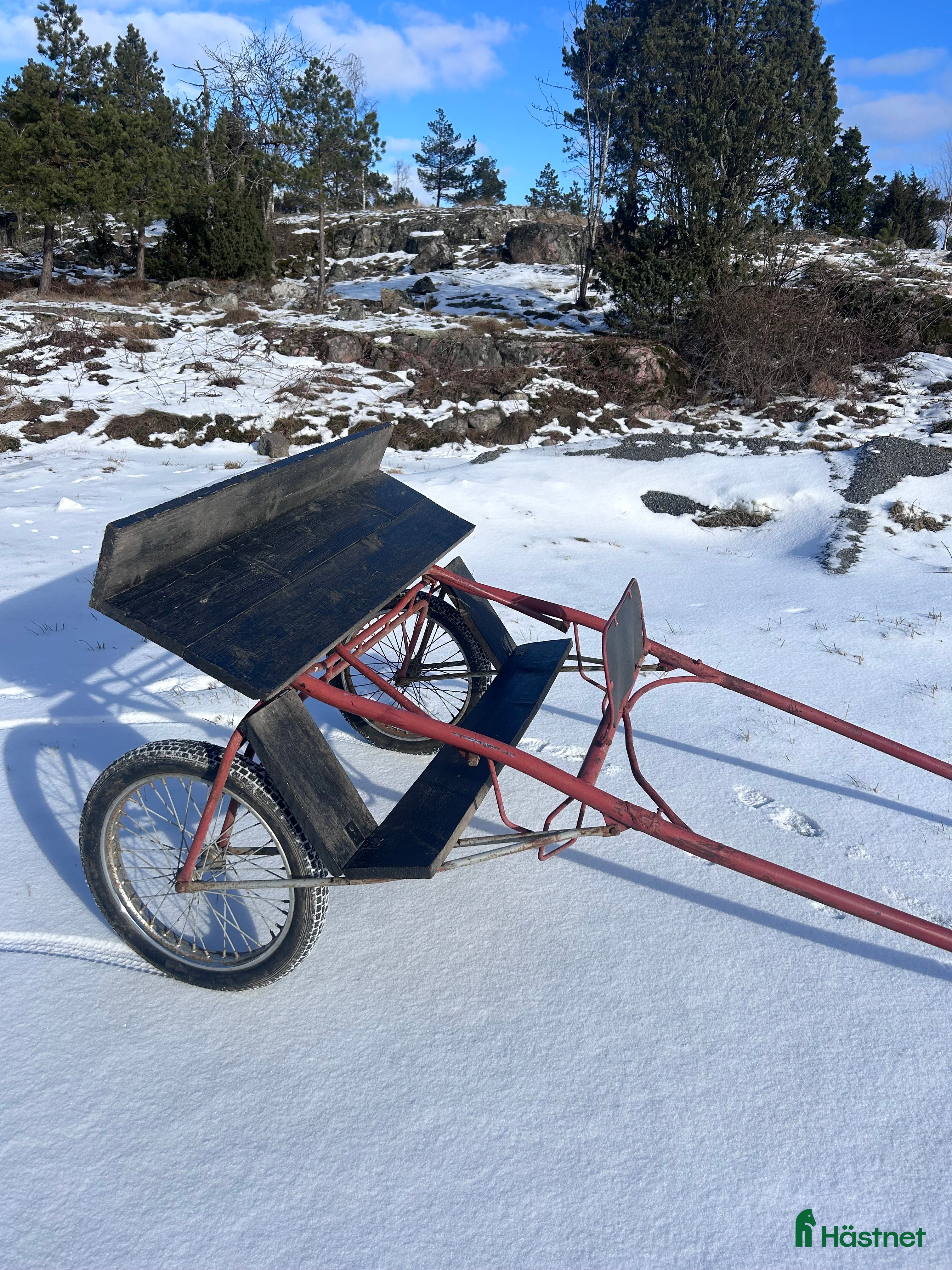 Körsulkys körning till salu: Rockard till A/B ponny  - Annons 21