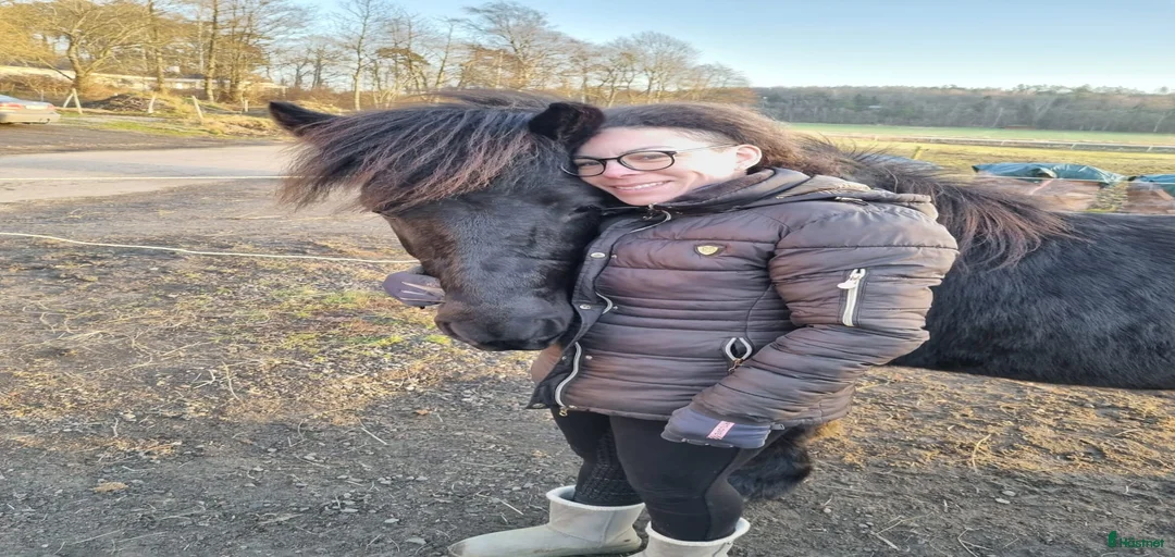 Galleribild {{count}}