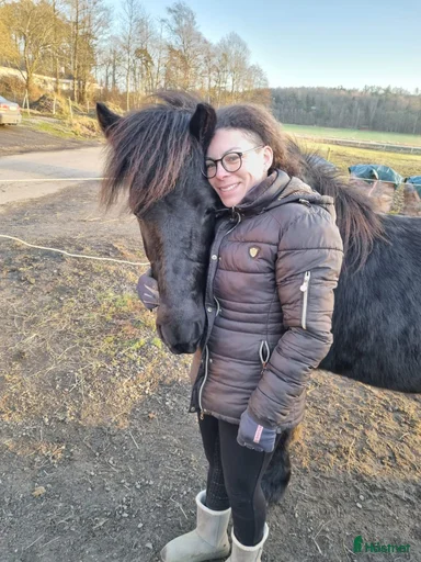 Galleribild {{count}}