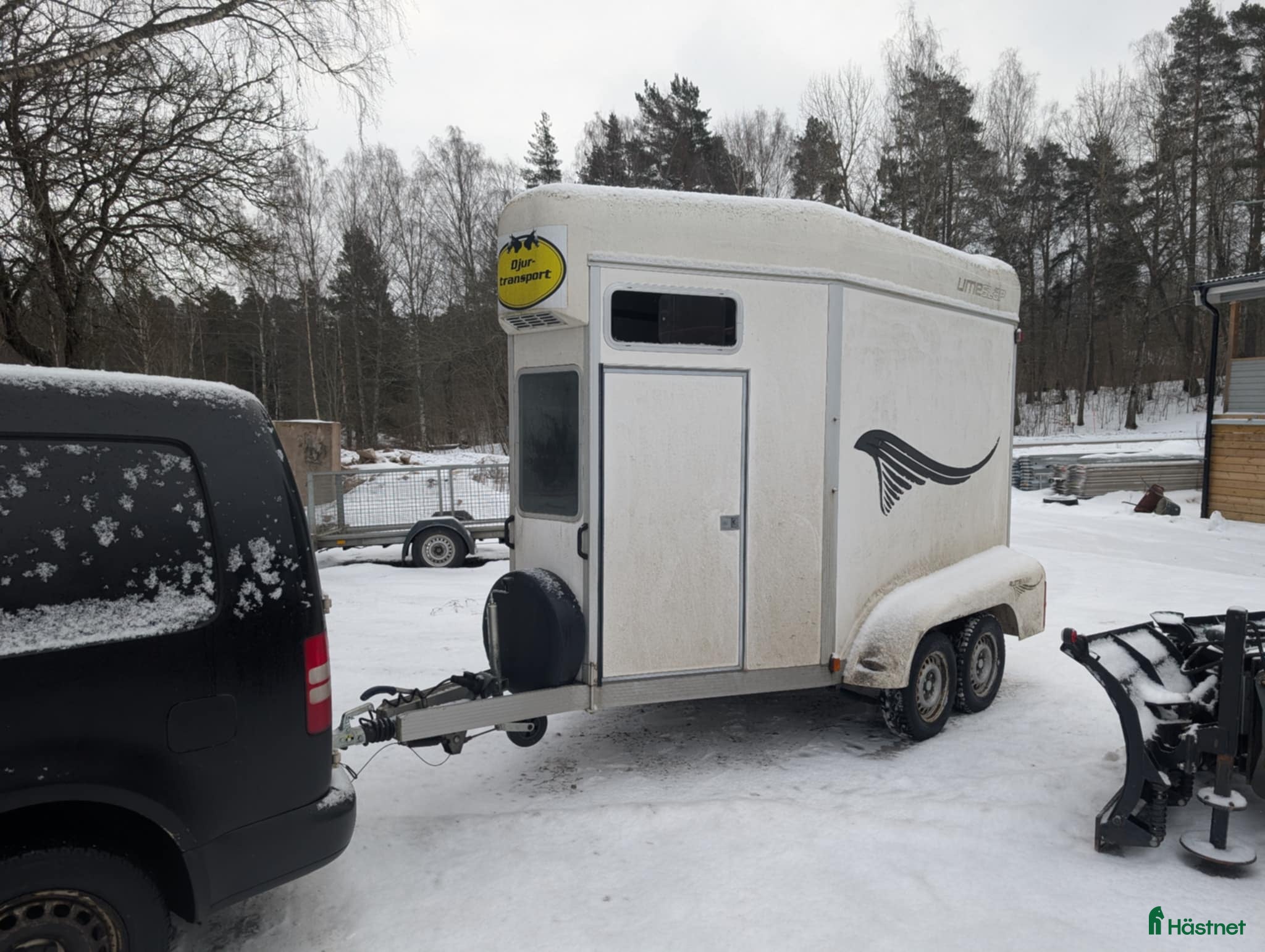 Hästtransporter  fordon & transport till salu: Umesläp BAA i Svalöv - Annons 1