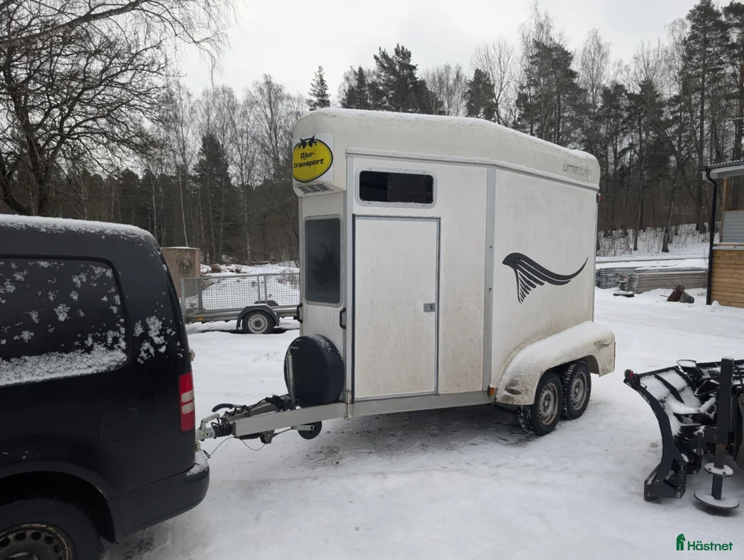 Hästtransporter  fordon & transport till salu: Umesläp BAA i Svalöv - Annons 1