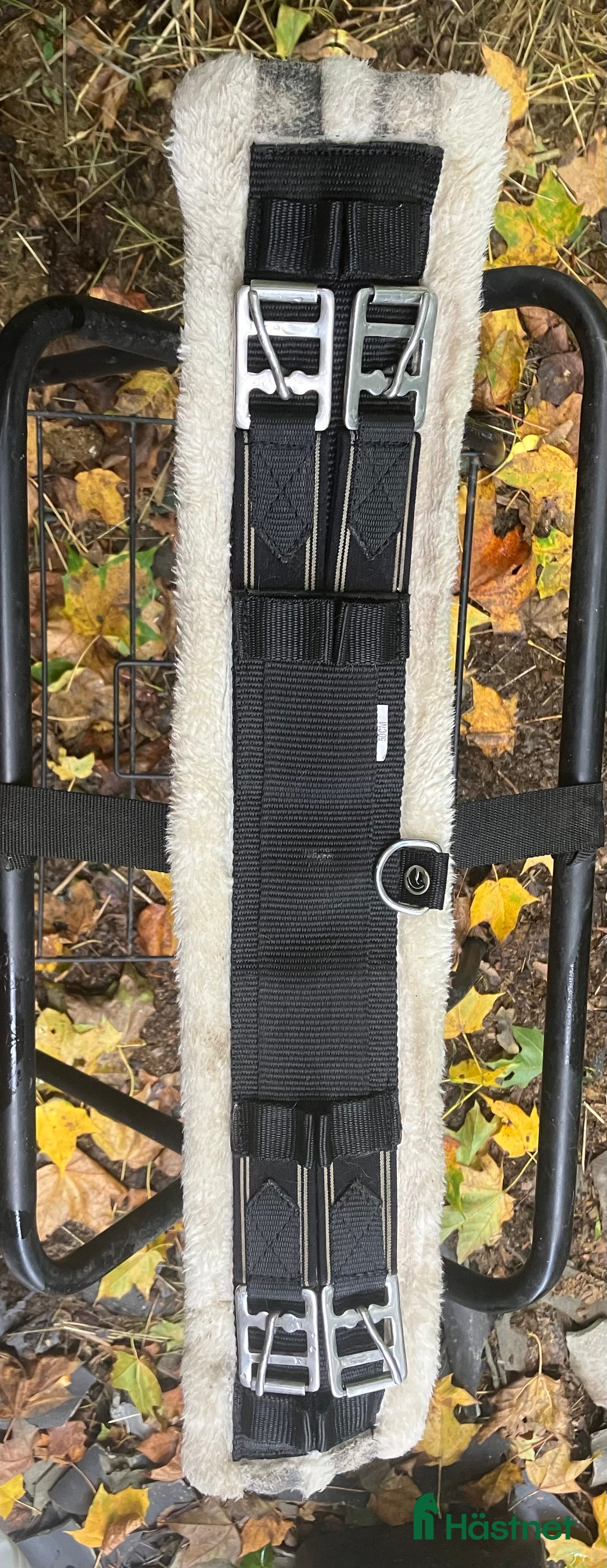 Sadeltillbehör hästutrustning till salu: Dressyrgjord i Rödeby - Annons 1