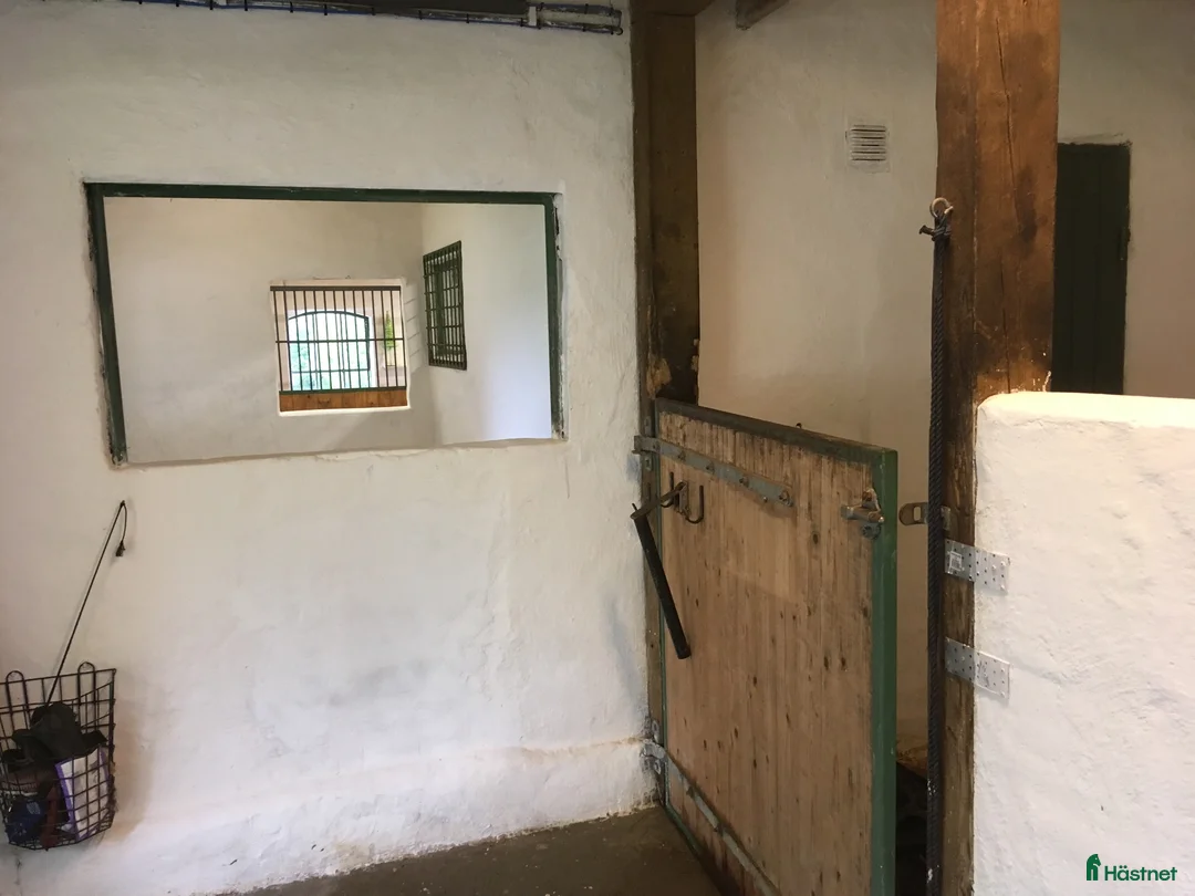  stallplats finnes: Ledig boxplats till ponny/ islandshäst - Annons 2