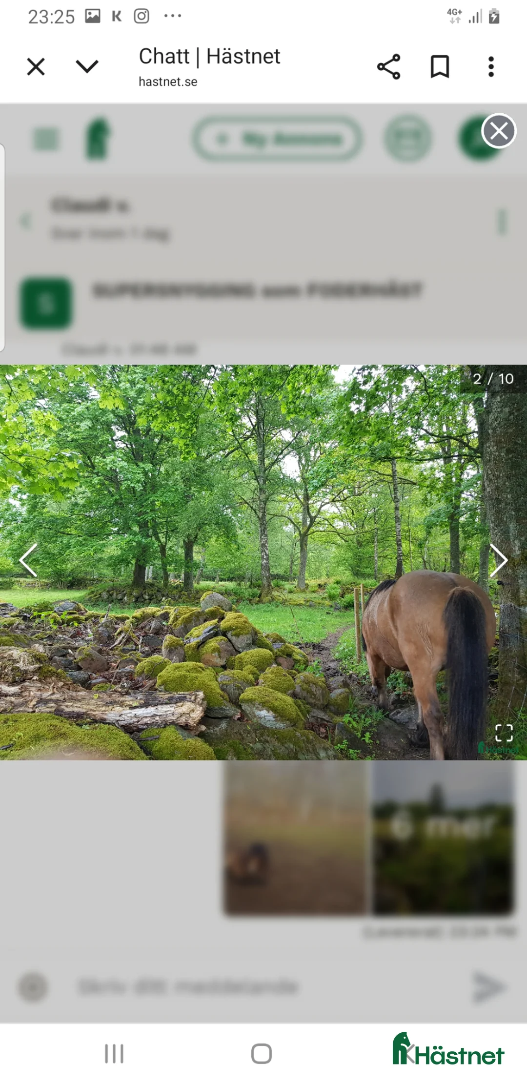  foderhäst sökes: Körponny sökes på foder  i Tollarp - Annons 6