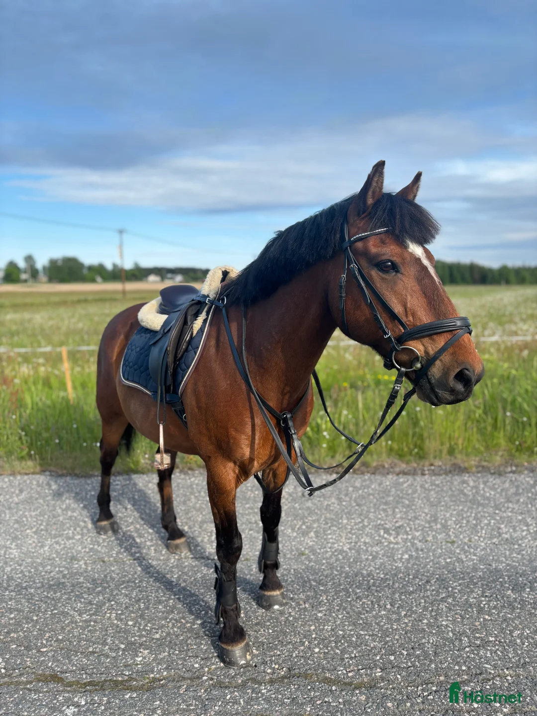 Galleribild {{count}}