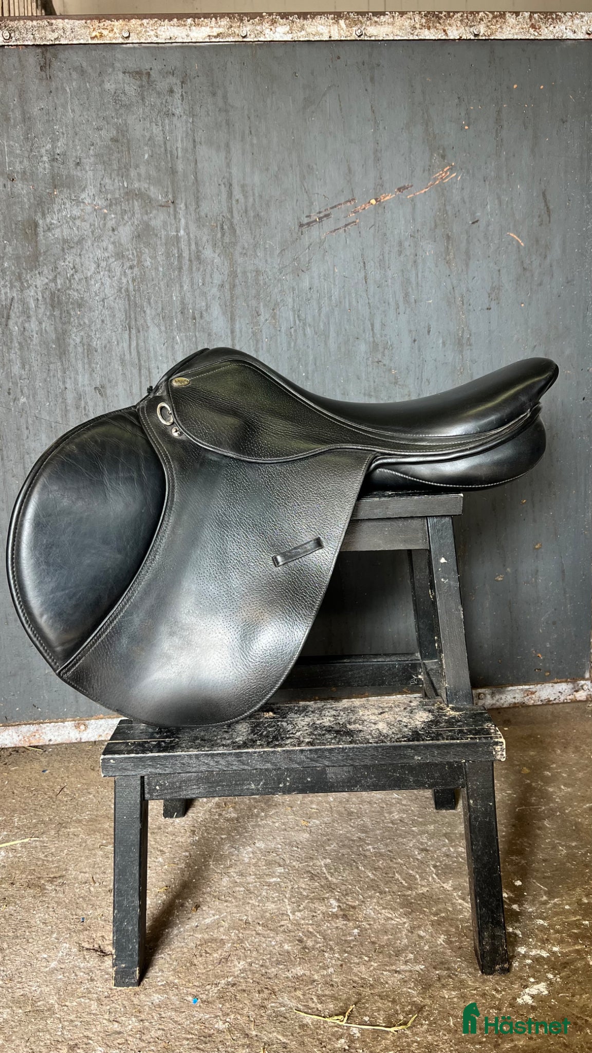 Sadlar hästutrustning Lippo Flavio (Fazzino) 17,5” MW - Annons 12