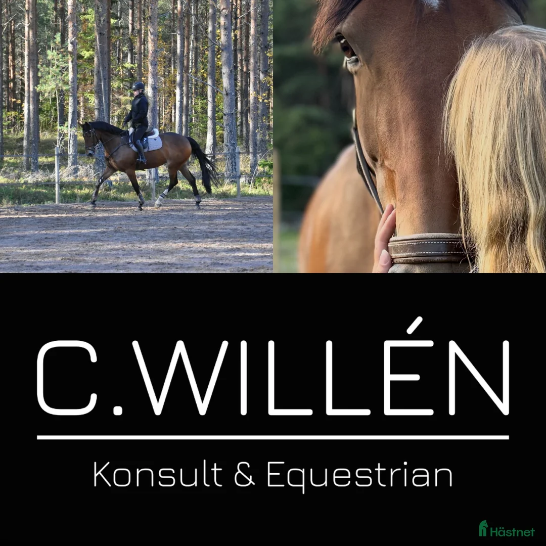  stallplats finnes: Hästhotell i Älvkarleby - Annons 1