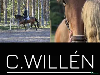 stallplats Hästhotell i Älvkarleby - Annons 8