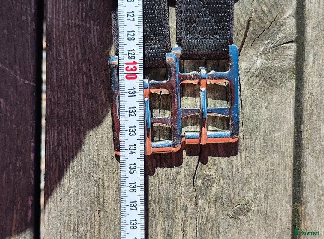 Sadeltillbehör hästutrustning till salu: Svart sadelgjord 130cm  - Annons 5