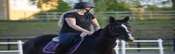 Allround hästar till salu: Trevlig allroundhäst för träning, tävling och mys  i Borlänge - Annons 7
