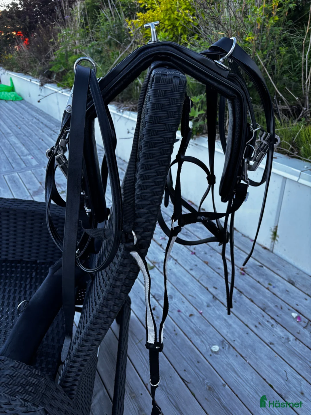 Travselar trav till salu: Shettis sele - Annons 2