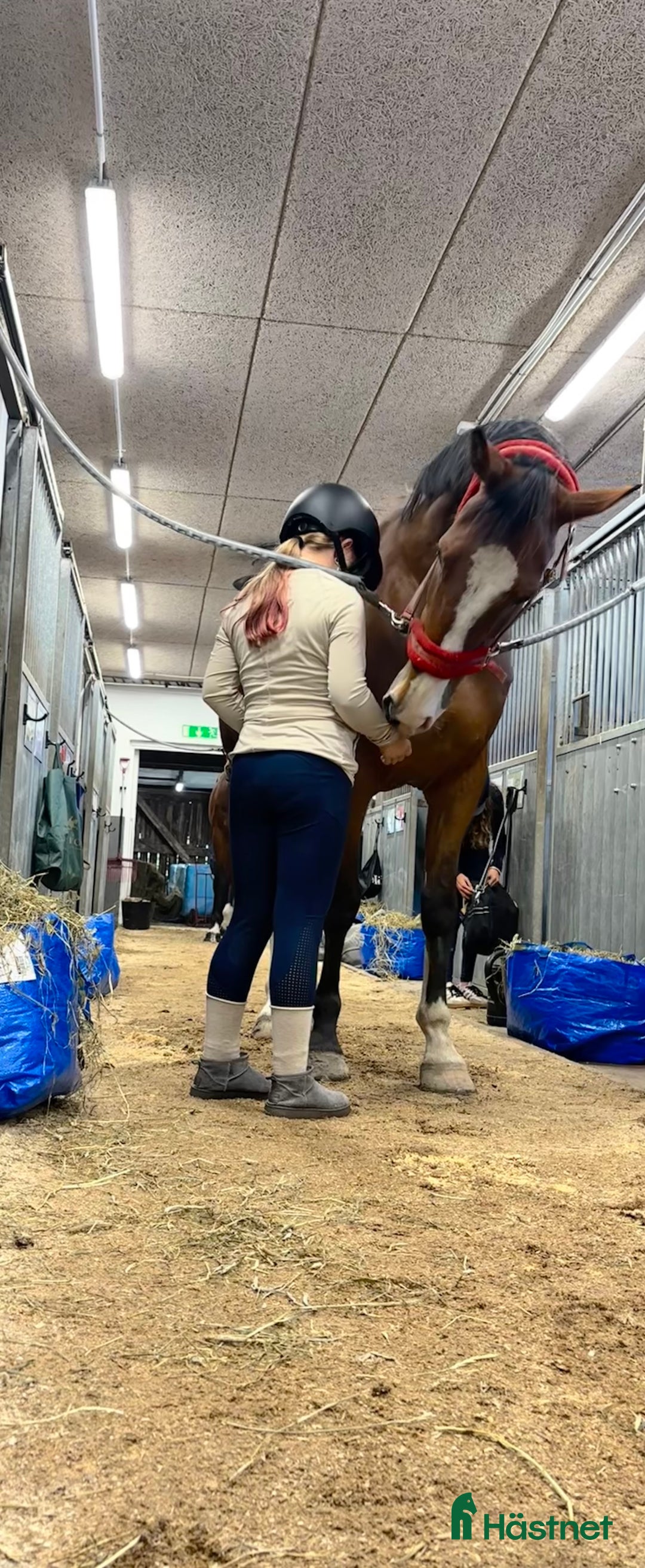 Hoppning hästar sökes: Medryttarponny sökes till 10 åring med ambitioner  i Billdal - Annons 2