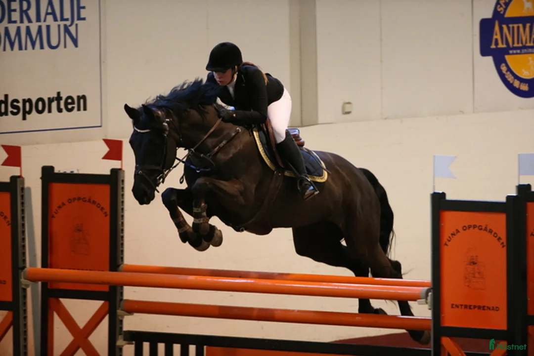 Galleribild {{count}}