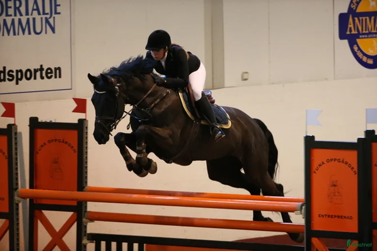 Galleribild {{count}}