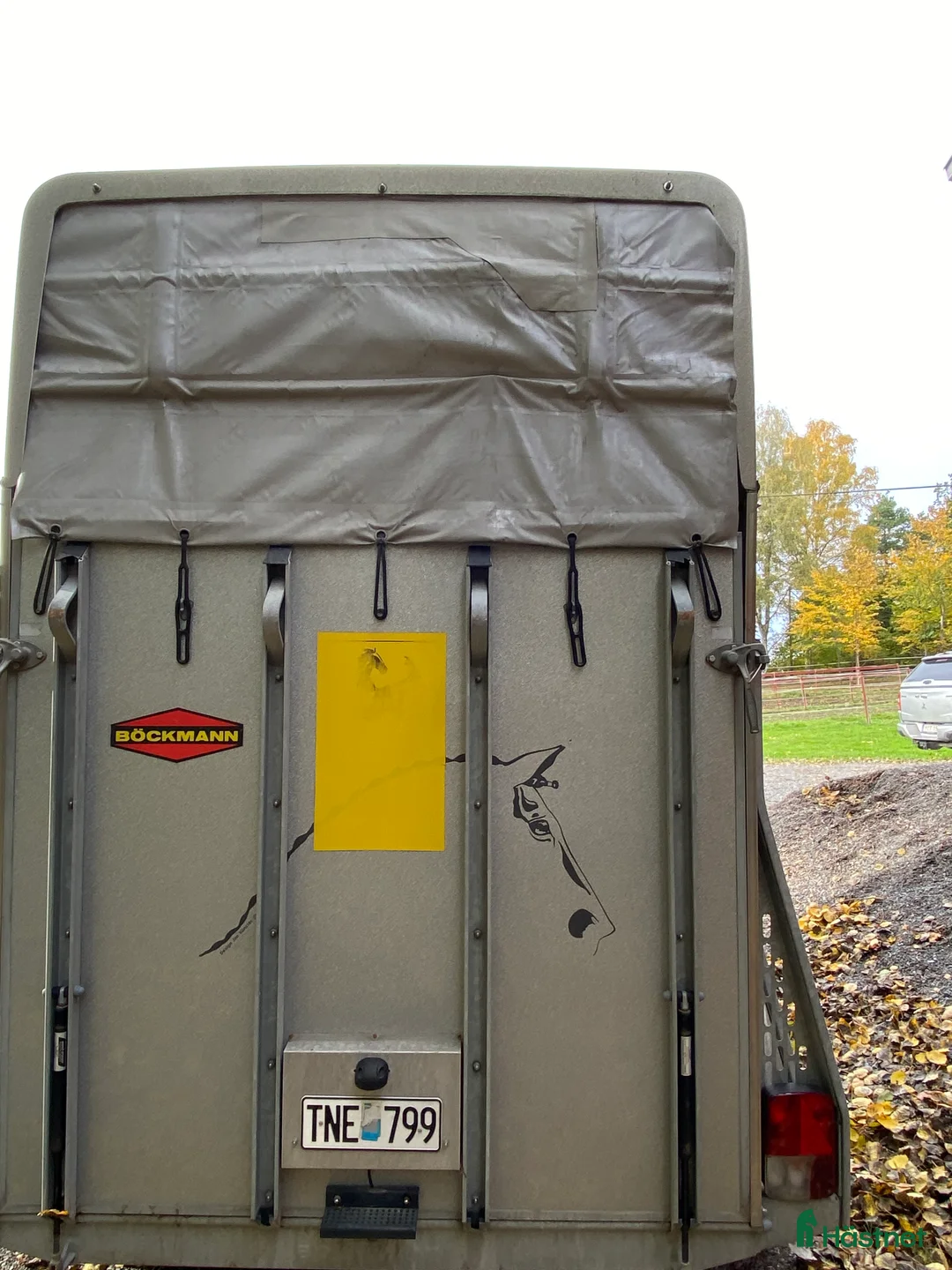 Hästtransporter  fordon & transport till salu: Böckman  - Annons 4