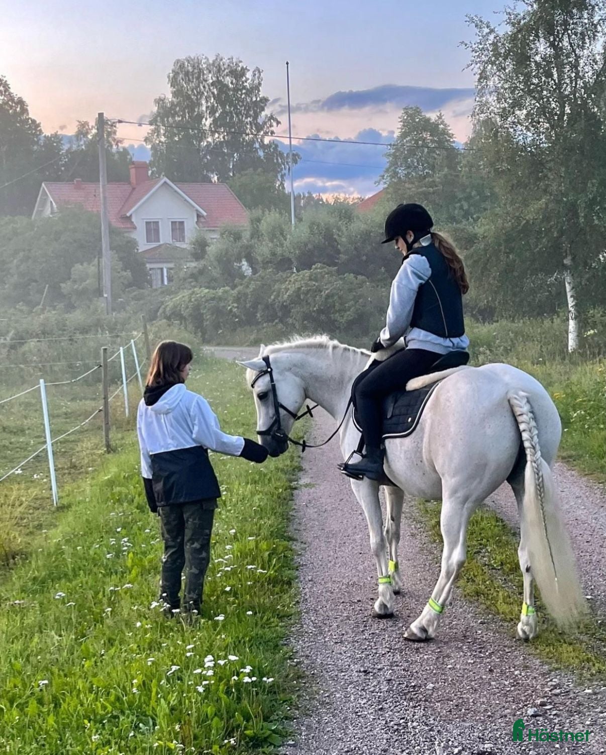 Övrigt hästar till salu: Snäll C-ponny - Annons 1