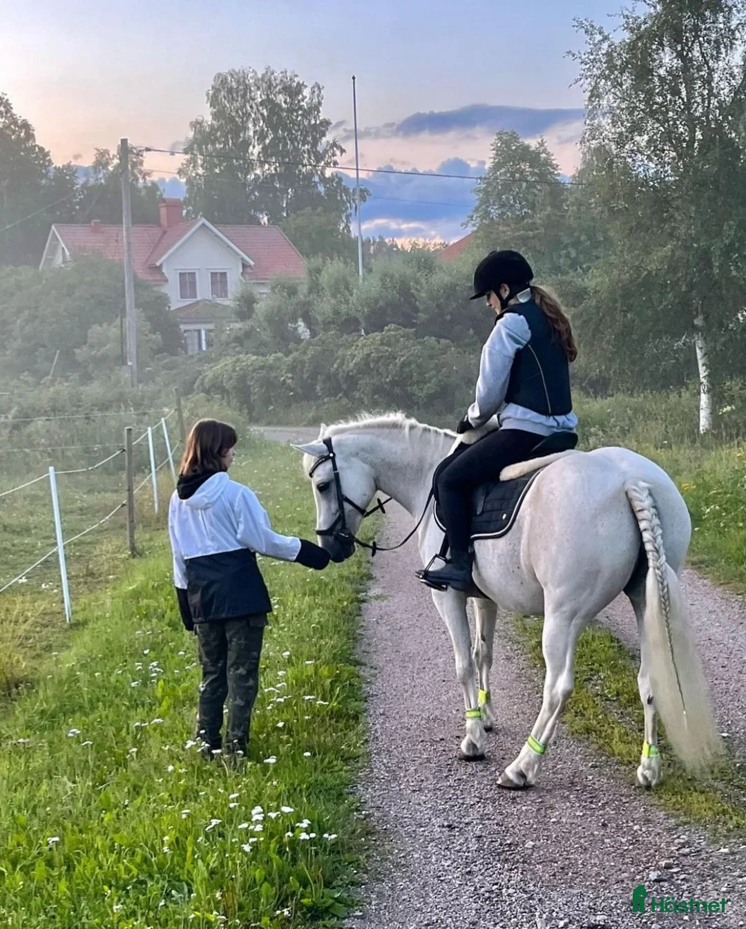 Övrigt hästar till salu: Snäll C-ponny - Annons 1