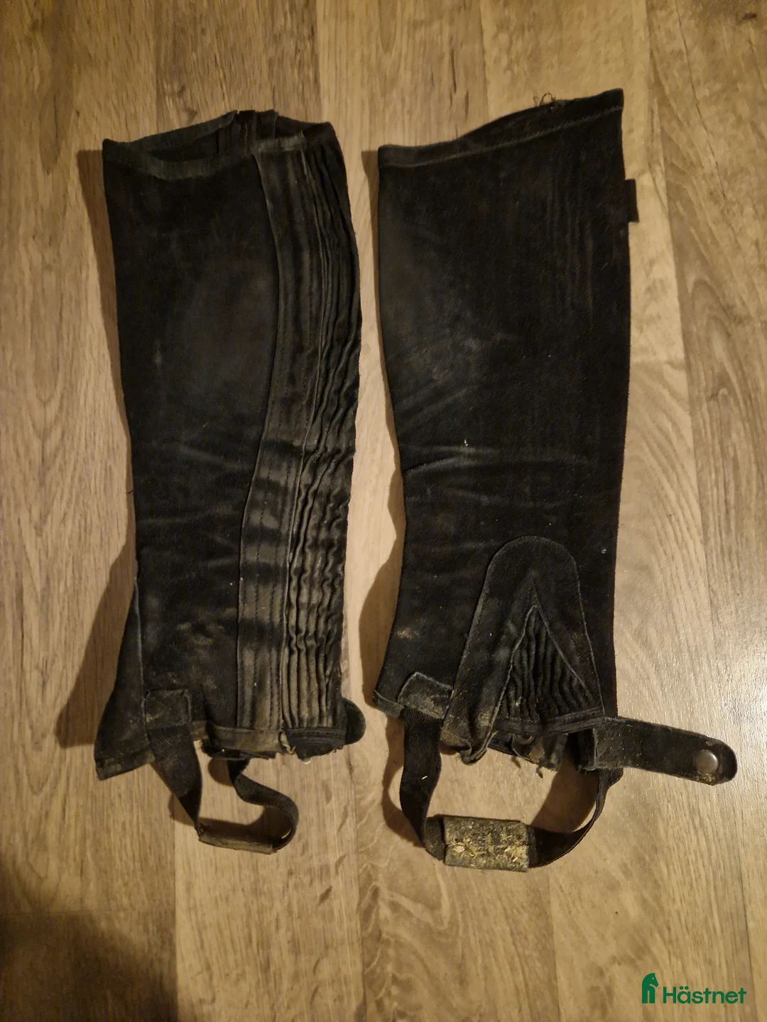 Övrig Ryttarutrustning ryttarutrustning till salu: svarta shortchaps i Hallstahammar - Annons 1