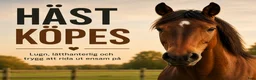 Allround hästar sökes: Häst köpes. - Annons 1
