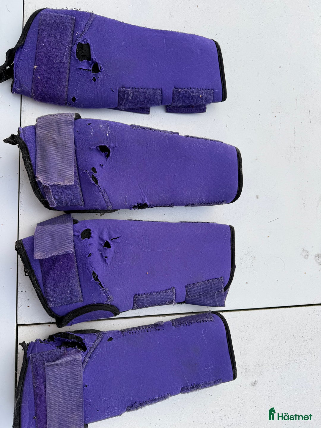 Benskydd hästutrustning till salu: Sadelkammarrensning Benskydd Hagskydd i Linköping - Annons 5