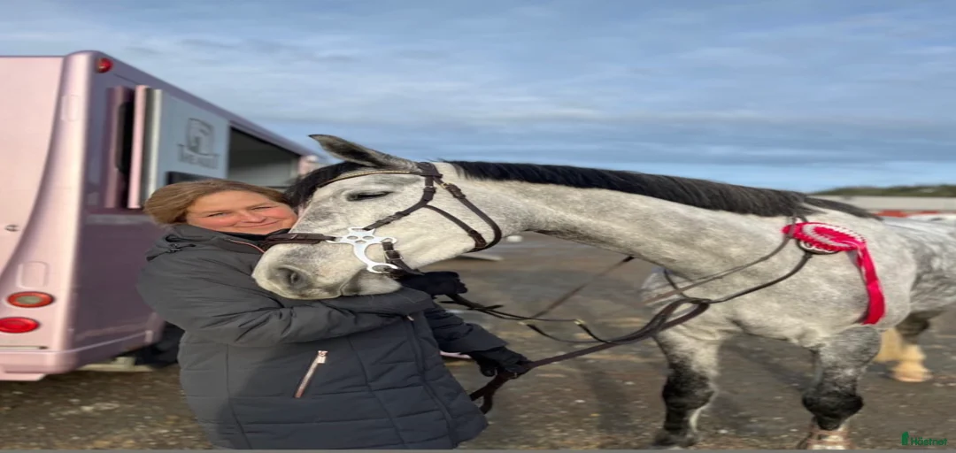 Galleribild {{count}}