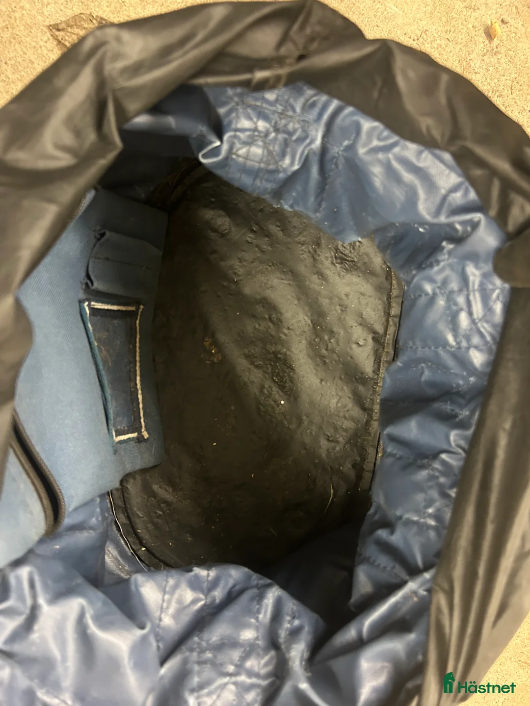 Övrig Hästutrustning hästutrustning till salu: Blandad utrustning? i Gävle - Annons 29